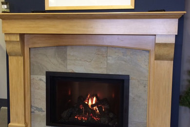 Mendota fireplaces and inserts