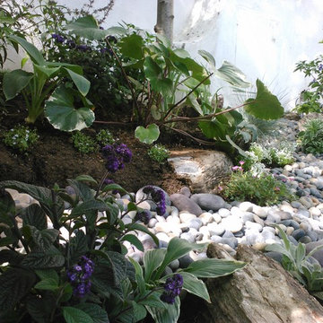 Lovely Shade Gardens