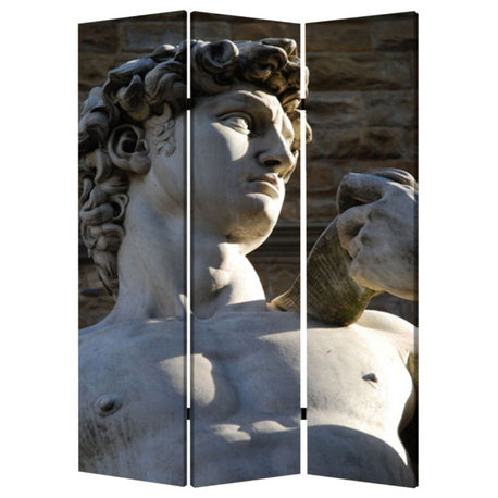 48" X 72" Multi Color Wood Canvas Rome  Screen