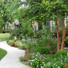 sidewalk