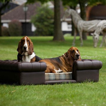 In the Great Outdoors