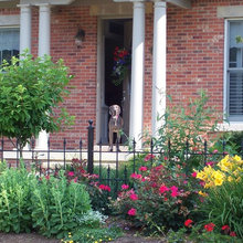 Landscape ideas