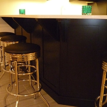 East Grand Rapids Basement