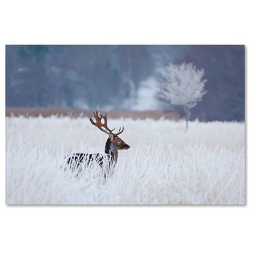 Allan Wallberg 'Fallow Deer In The Frozen Winter Landscape' Canvas Art, 32 x 22