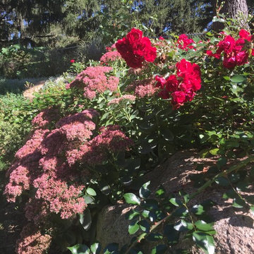 Cut Flowers and Perennial Gardens