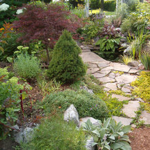Outdoor Living & Gardening