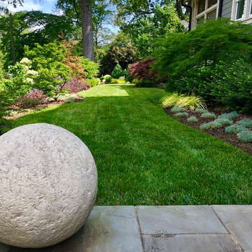 Front Garden Update: May, 2019