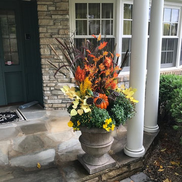 Edina Fall Annuals