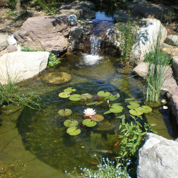 Hartford Co. - Natural Stream & Pond