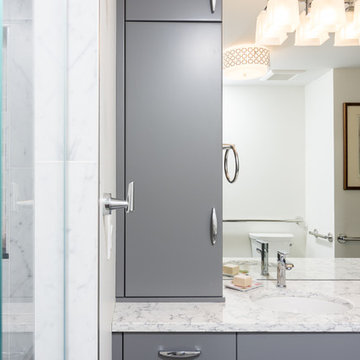 Gale Contemporary Bath in Ann Arbor, Michigan