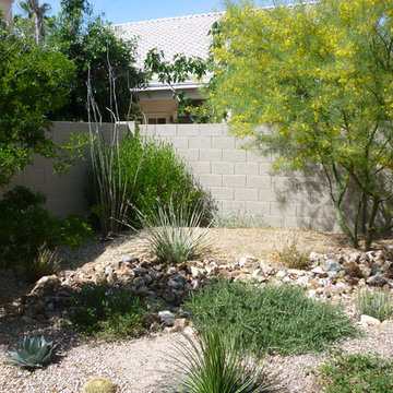 Plantings - 1.5 Years