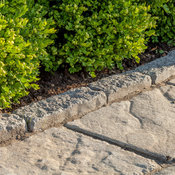 Pietra Edge