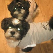 Tracy Crews's photo