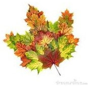 Julie Stryker's photo