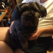 Melanie Gladden's photo