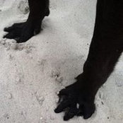 Foto von Asha Andrade