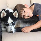 Meagan Strout's photo