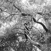 Danielle Freeman's photo