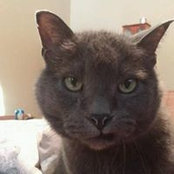 Holly Brignall's photo