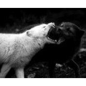 Kaylyn Blaylock's photo