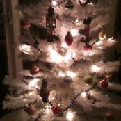 Foto von Deann Holt Johns