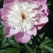 Barb Rahauiser's photo