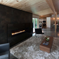 Spark Modern Fires - Indoor Fireplaces