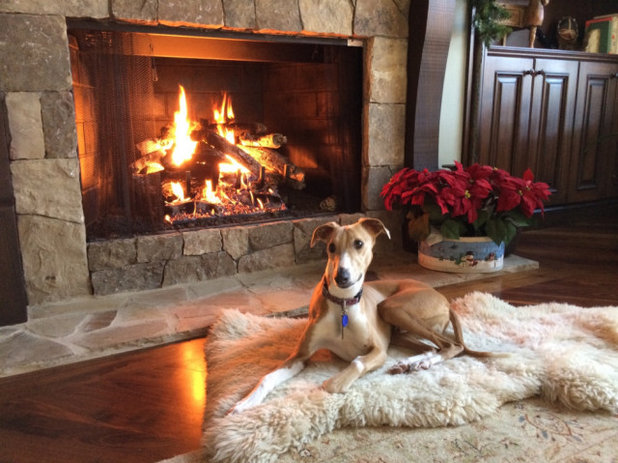 30 Cats and Dogs Who are Cozying Up Right for the Holidays