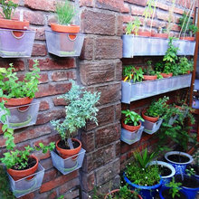potted garden