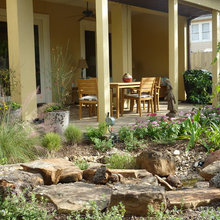 Rock Garden