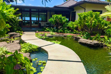 Inspiration for a tropical pond in Hawaii.