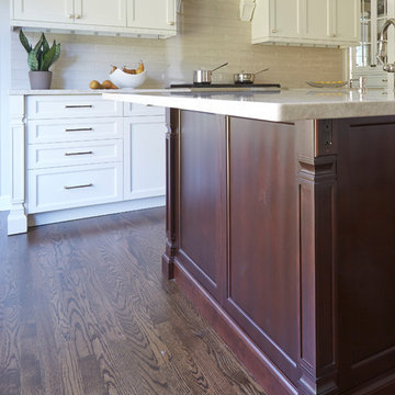 Northbrook Kitchen Transformation