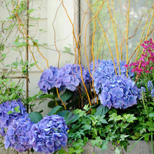 Spring Containers