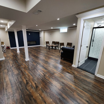 Basement Finish with Full bathroom addition and Office