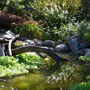 Omaha water features