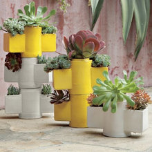 indoor plants and pots