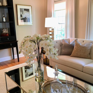 Elegant Transitional Living Room Space