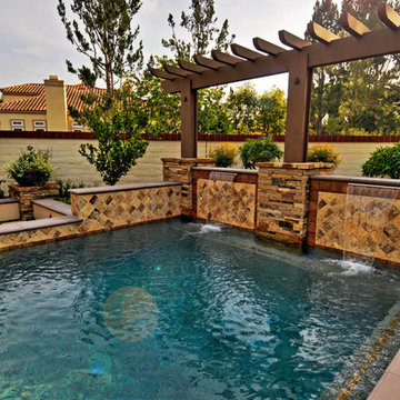 Pool w/ Sheer Descent Water Feature
