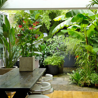 Cette image montre un jardin ethnique.