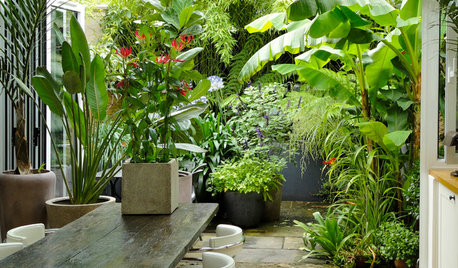 7 Ways to Create a Heavenly Balcony Garden