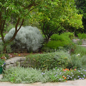 Rustic Canyon Garden
