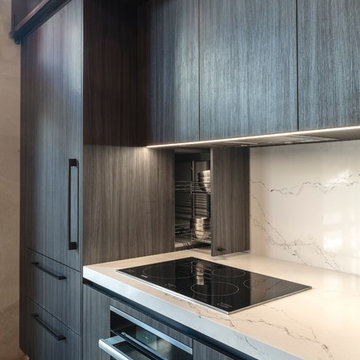 Streamline Contemporary Kitchen