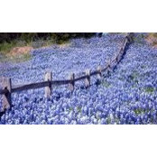 Stephanie Duran's photo