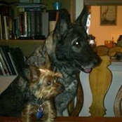 Debbie Jankowski Rickey's photo