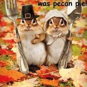 Julie Steele's photo