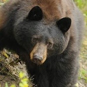 Stephanie Markham's photo