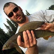 Josh Schumacher's photo