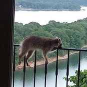 Bill Joerg's photo