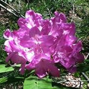 Foto von Amy Spann