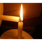 Ann Nelson's photo